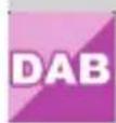 Telestar DABMAN i450 CD - SETTINGS - 6
