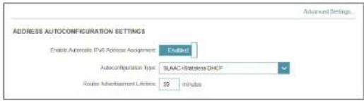 ADDRESS AUTOCONFIGURATION SETTINGS Custom Automatic IPv6 Address Assignment Custom Autoconfiguration Type 3LAC-Brandede DHCP Router Advertisement Listeners 10 min/abs