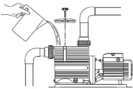 Pedrollo Magnifica - NACHFULLEN - 1