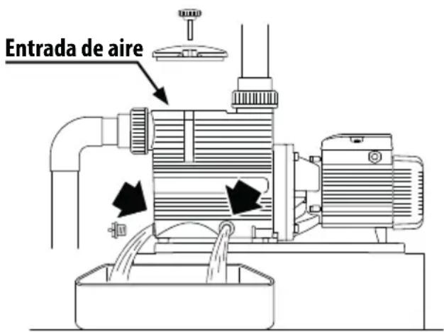 Pedrollo Magnifica - Vaciado del cuerpo de la bomba - 2