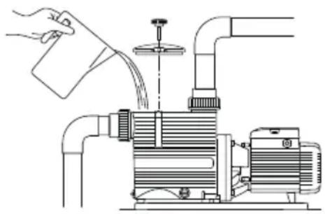 Pedrollo Magnifica - FILLING - 1