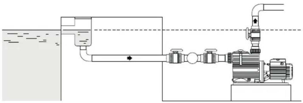 Pedrollo Magnifica - Pompa sotto il livello dell'acqua (funzionamento除去 battente) - 1
