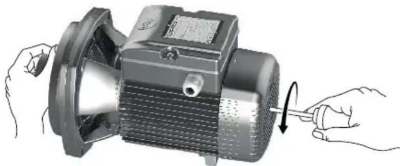 Pedrollo Magnifica - Sustitución del cierre mecánico - 1