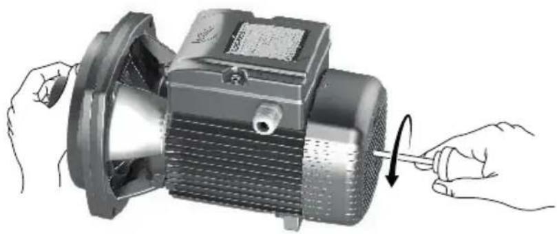 Pedrollo Magnifica - Austausch der Gleitringdichtung - 1