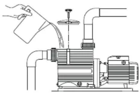 Pedrollo Magnifica - 3АПОЛHEНЕ - 1