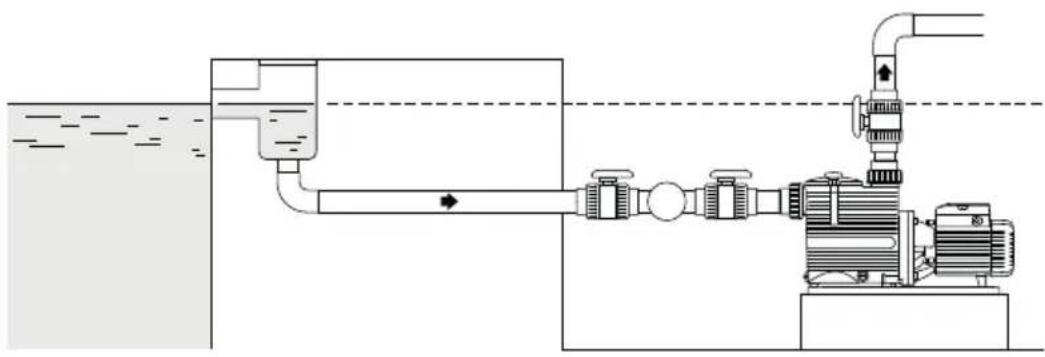 Pedrollo Magnifica - Pump below water level (suction operation) - 1