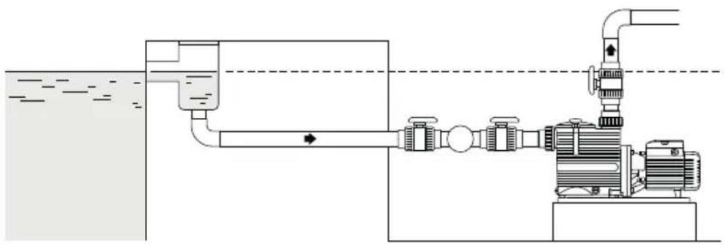 Pedrollo Magnifica - Bomba por problemas del nivel del agua (funcionamento por problemas del batiente) - 1