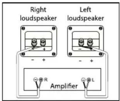 LENCO Dali Oberon OnWall - 12