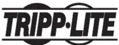 Tripp Lite NPOEEXT1G30WP - Renseignements sur la conformité à la directive DEEE pour les clients de Tripp Lite et les recycleurs (Union europeenne) - 2