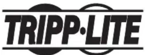 Tripp Lite NPOEEXT1G30WP - Información de cumplimiento con WEEE para clients y recicladores de Tripp Lite (Unión Europea) - 2