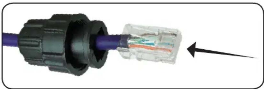 Tripp Lite NPOEEXT1G30WP - Étapes pour les fils du cable RJ45 et le sertissage - 2