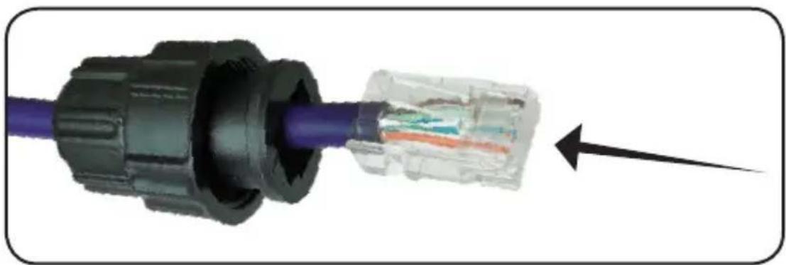 Tripp Lite NPOEEXT1G30WP - RJ45 Cable Wire and Crimp Steps - 2
