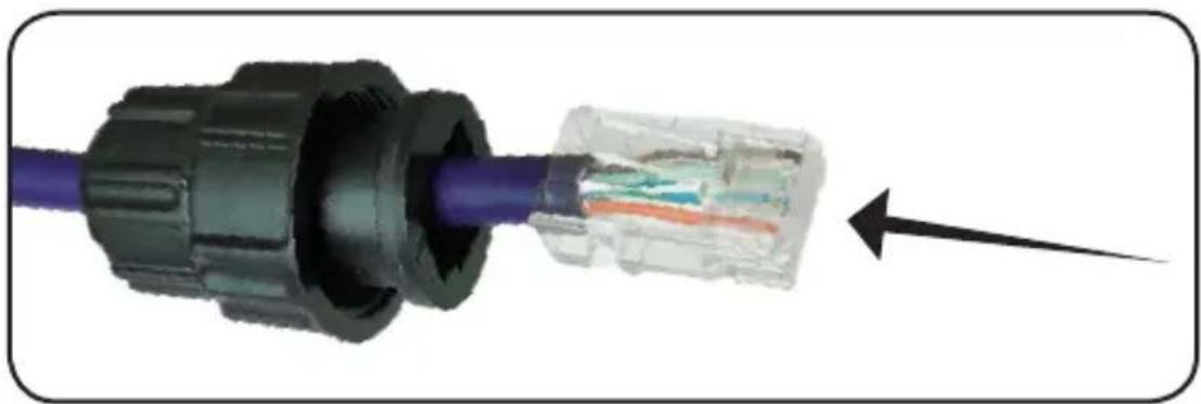 Tripp Lite NPOEEXT1G30WP - Cable RJ45 y Etapas de Presión - 2
