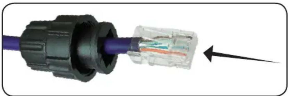 Tripp Lite NPOEEXT1G30WP - ПорядOK поготовки и обжима провдов ka6еля RJ45 - 2