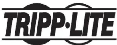 Tripp Lite CS48USBW - L'information de conformité WEEE pour les clients de Tripp Lite et recycleurs (Union européenne) - 2