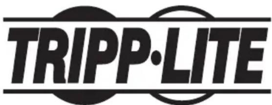 Tripp Lite LR1000 - Información de sobre Cumplimiento de la WEEE para Clientes de Tripp Lite y Recicladores (Unión Europea) - 2