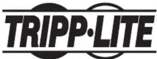 Tripp Lite NPOEI60W1G - Renseignements sur la conformité à la directive DEEE pour les clients de tripp lite et les recycleurs (union européenne) - 2