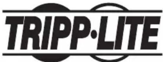 Tripp Lite NPOEI60W1G - Información de Cumplimiento con WEEE para Clientes y Recicladores de Tripp Lite (Unión Europea) - 2