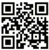 MEDION LIFE P61468 (MD 44468) - Serviceinformationen - 1