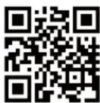 MEDION LIFE P64377 (MD 45377) - Serviceinformationen - 1