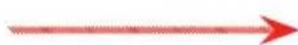 de Buyer La Mandoline 001150 - Waffle cut - 8