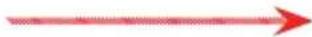 de Buyer La Mandoline 001150 - Waffelschnitt - 6