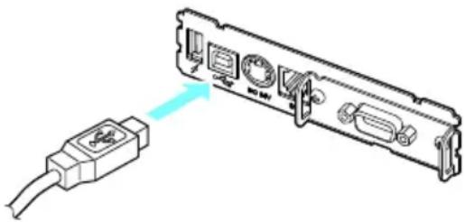 CITIZEN CTE601 - Connexion du câble d'interface - 1