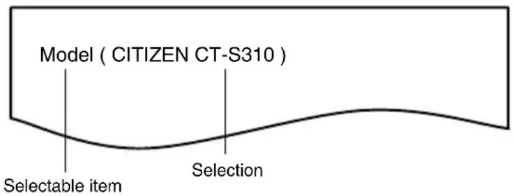 Model ( CITIZEN CT-S310 ) Selectable item Selection