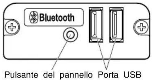 Bluetooth Pulsante del pannello Porta USB