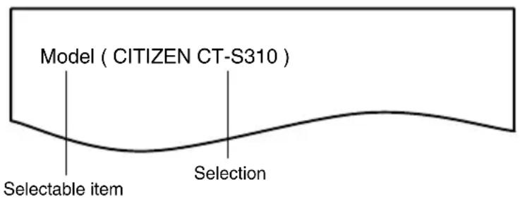 Model ( CITIZEN CT-S310 ) Selectable item Selection