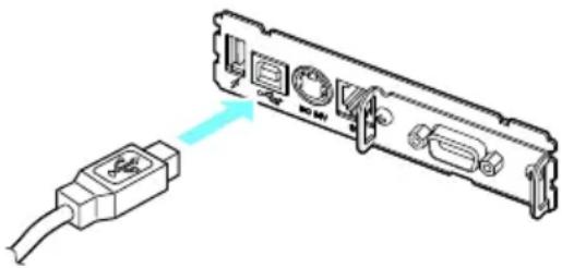 CITIZEN CTE601 - Conexión del cable de interfaz - 1
