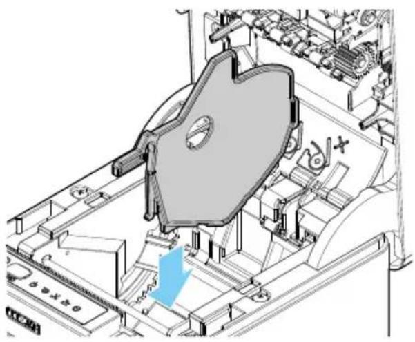 CITIZEN CTE601 - Trennvorrichtung für 58 mm breite Papierrollen - 2