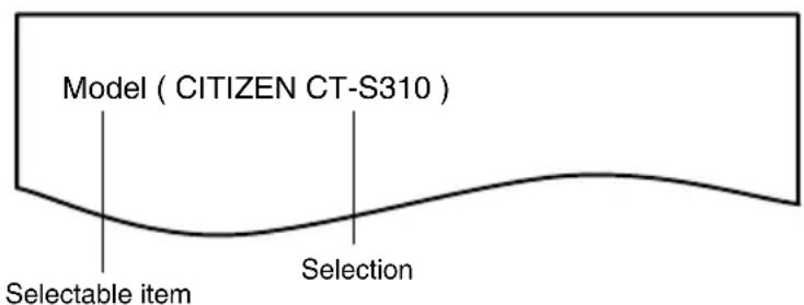 Model ( CITIZEN CT-S310 ) Selectable item Selection
