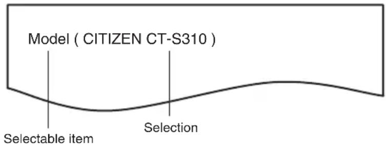 Model ( CITIZEN CT-S310 ) Selectable item Selection
