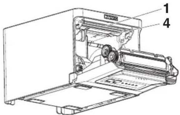 CITIZEN CTS751 - Interior de la tapa del papel - 2