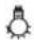 POLAR G211 - Ligar (CB509/DP289) - 2