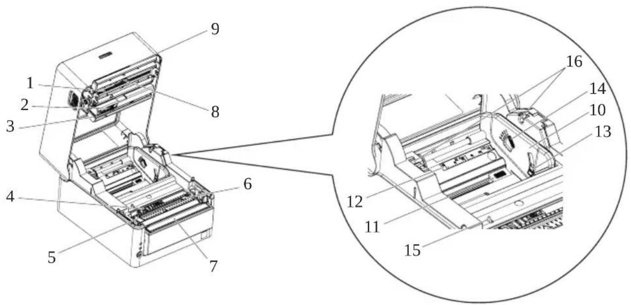 CITIZEN CTS4500 - Área interior de la tapa superior - 1