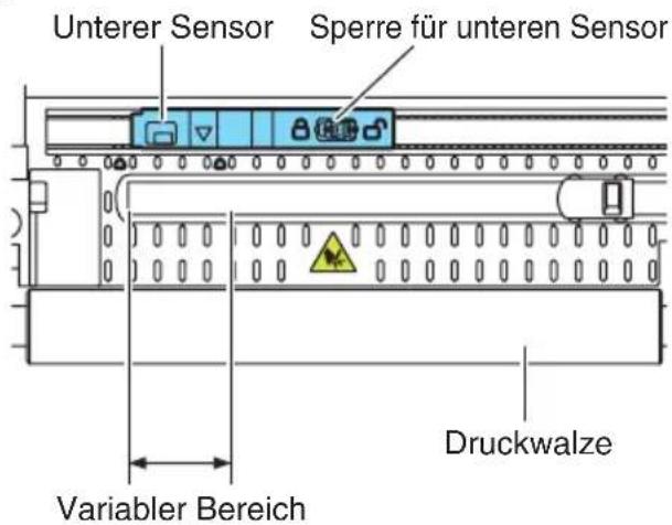 CITIZEN CTS4500 - Anpassung für Durchlichtsensor - 2