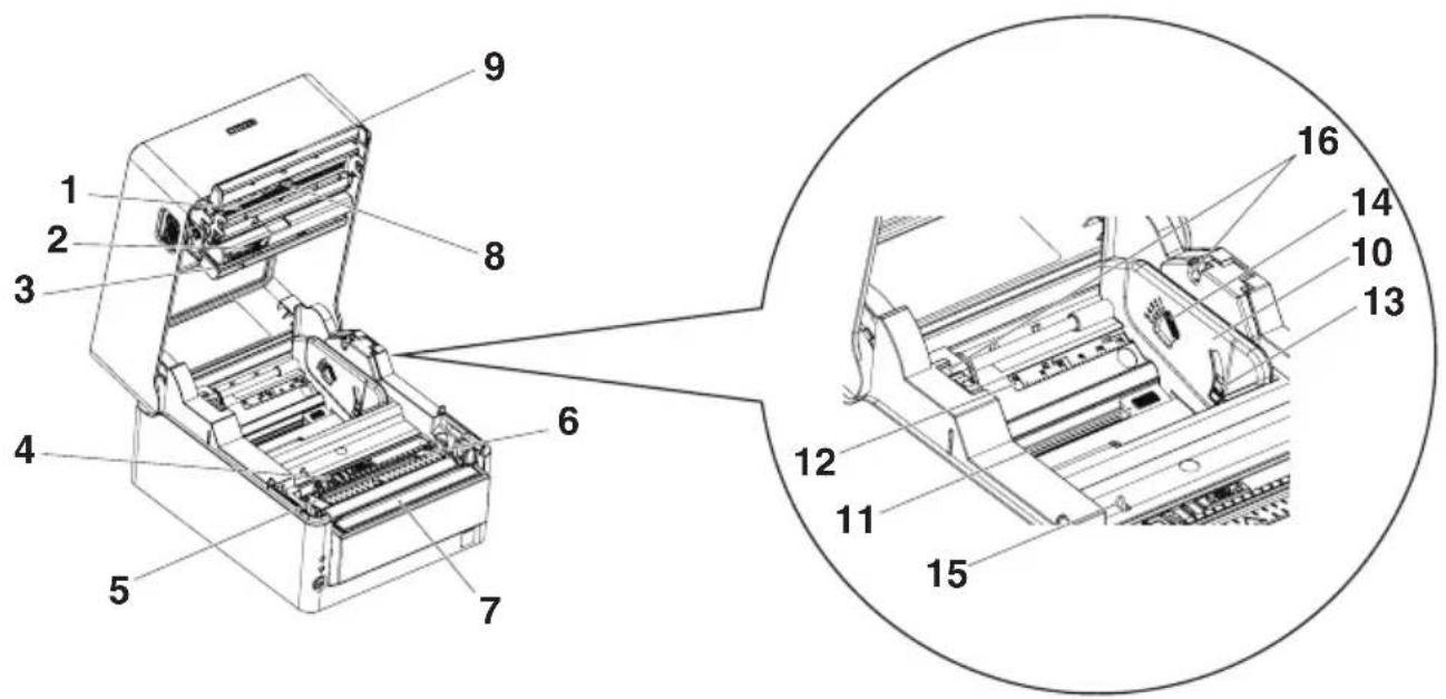 CITIZEN CTS4500 - Area interna del coperchio superiore - 1
