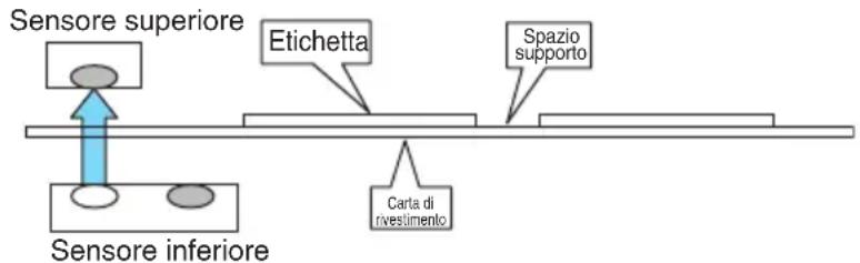 CITIZEN CTS4500 - Mettete la carta da regolare sulla stampante. - 1