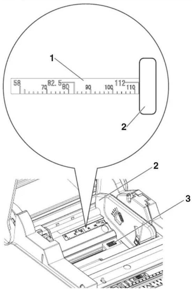 CITIZEN CTS4500 - Separador del papel en rollo - 2
