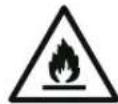 POLAR CG841 - Caution Risk of Fire - 1