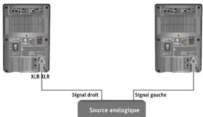 NEUMANN V 402 - Raccorder les signaux analogiques à l'enceinte - 1