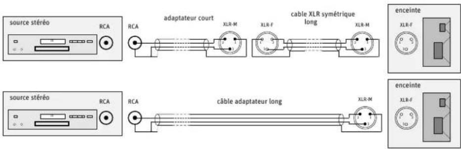 NEUMANN KH 750 DSP - Raccorder les signaux analogiques à l'enceinte - 2