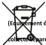 LIVOO DOP195 - Notice d'utilisation - 1
