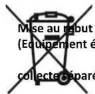 LIVOO TES248 - Notice d'utilisation - 2