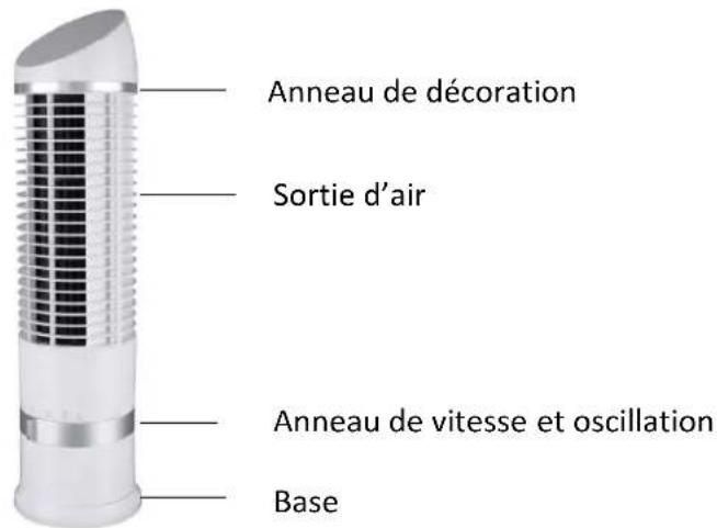 LIVOO DOM447 - DESCRIPTION - 1