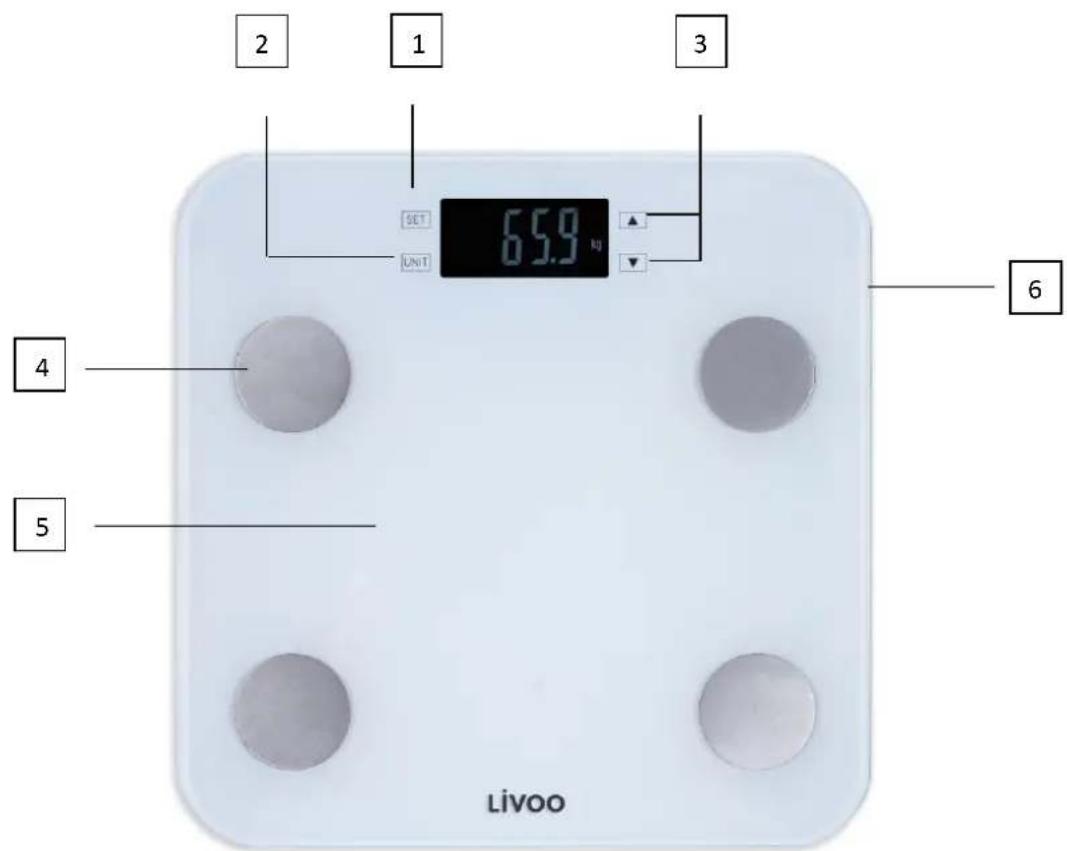 LIVOO DOM427 - Attention - 1
