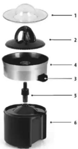LIVOO DOD194 - 8ES7RIPTION - 1