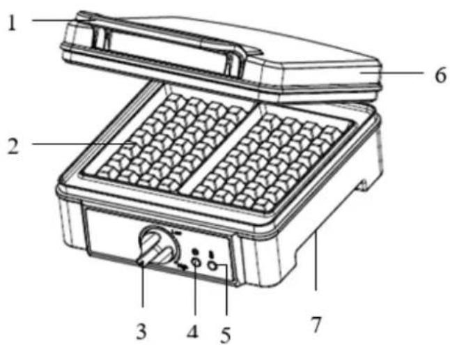LIVOO DOP206 - DESCRIPTION - 1